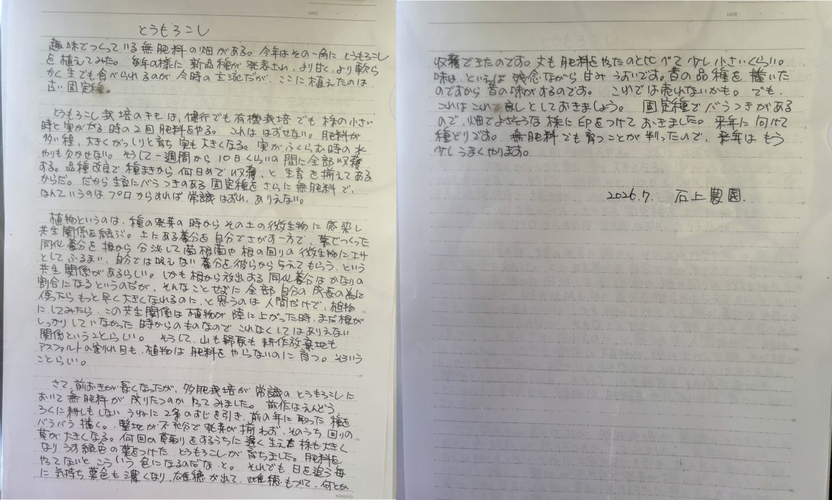 とうもろこし